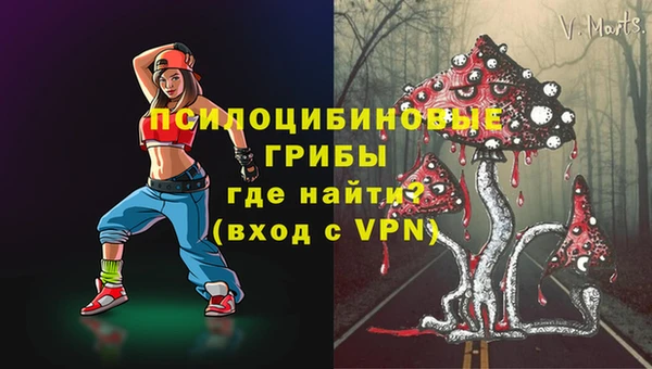 индика Магадан