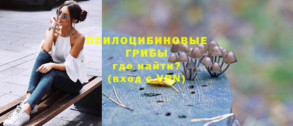 индика Магадан