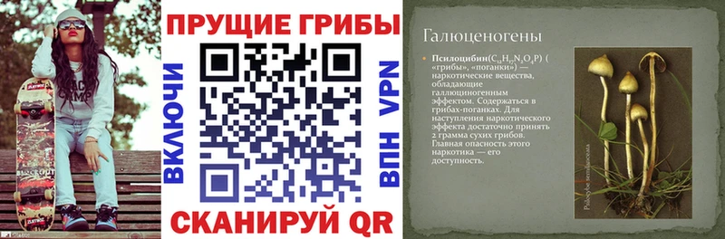 Псилоцибиновые грибы мицелий Шенкурск